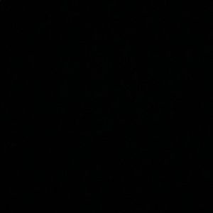 Meet your Posher, Ella